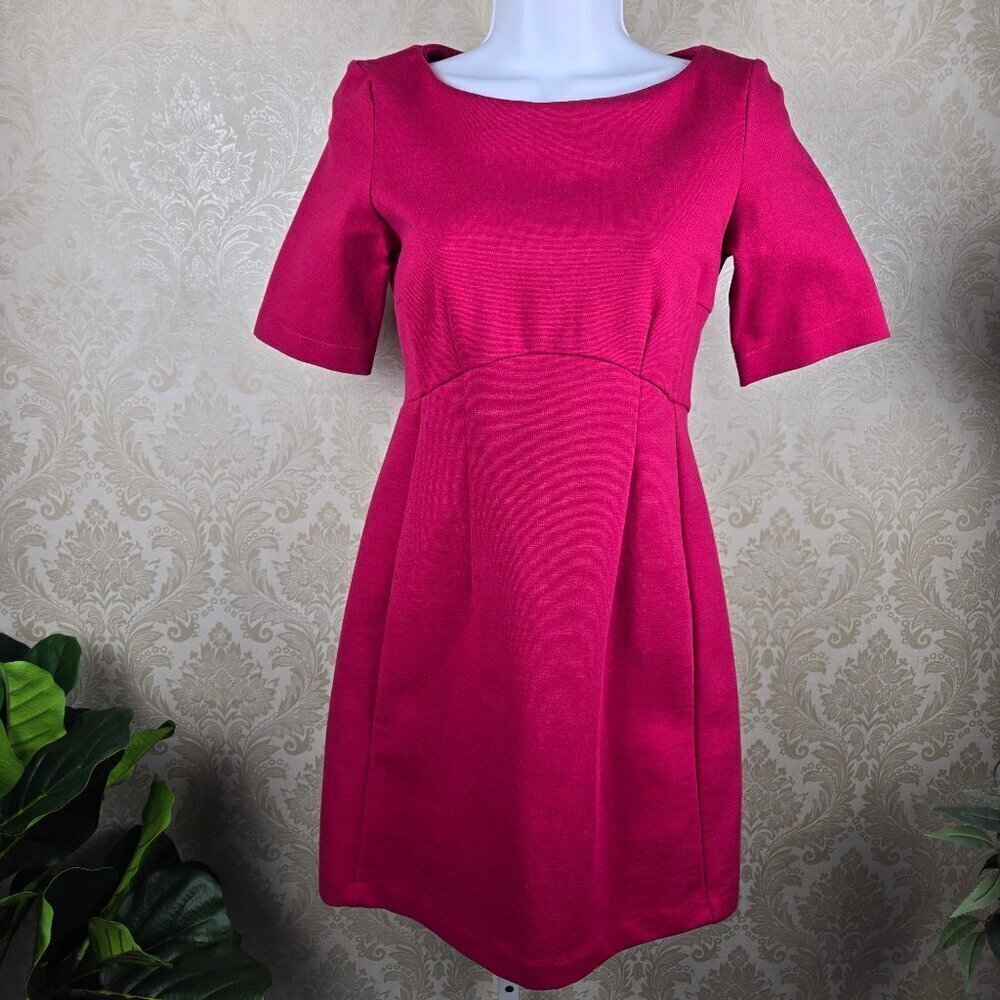 Zara Woman Size XS Pink Dress Fit & Flare Short Sleeve Boat Neck NWOT